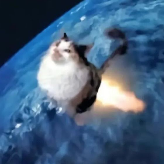 Cat farting fire